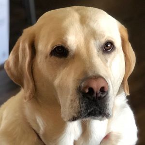 Meet your Posher, Andria